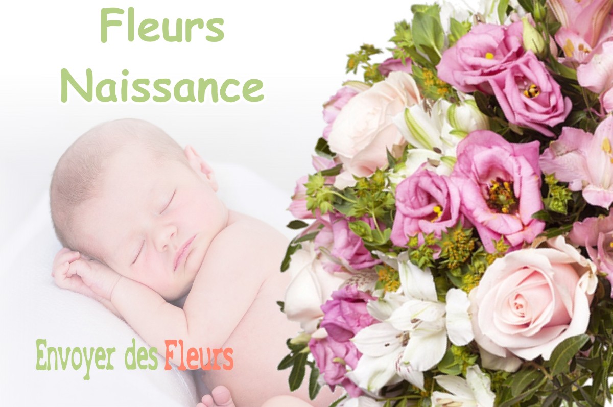 lIVRAISON FLEURS NAISSANCE à ROMAGNE-SOUS-LES-COTES